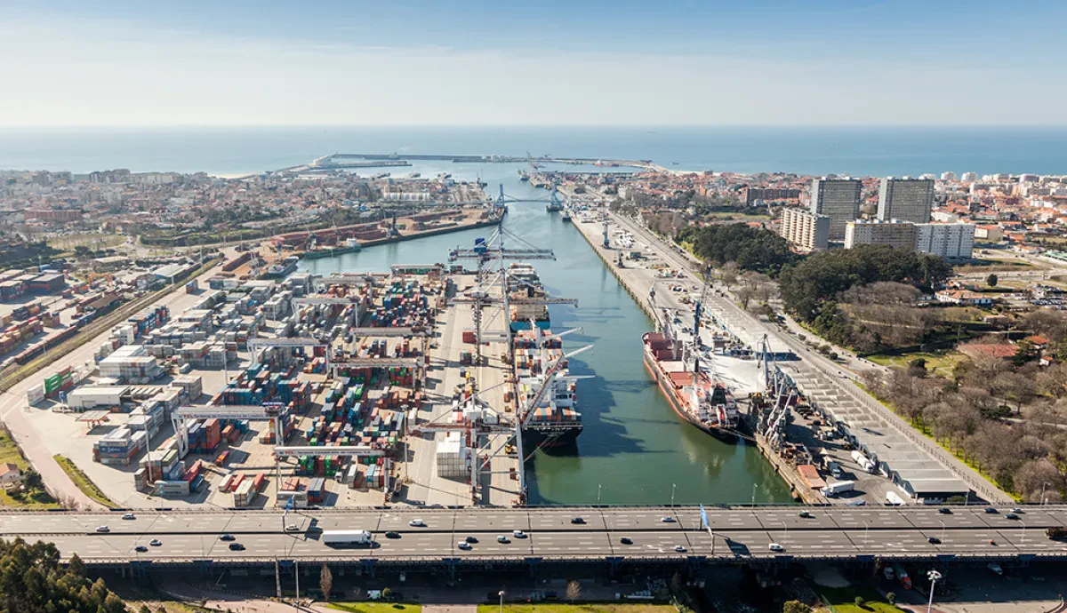 Yilport Makes a Bid for Italian Box Terminal Concession