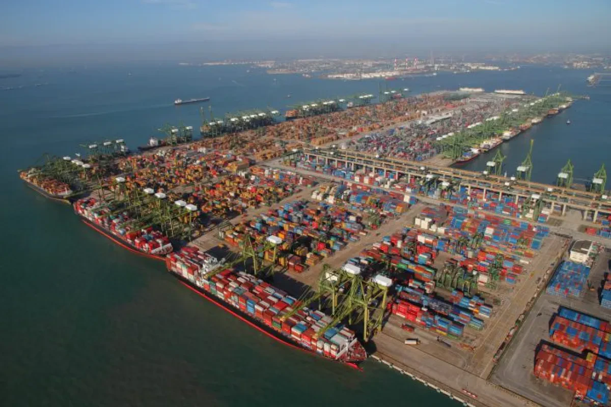 Survey results: Peak season container shipping “chaos” on the way