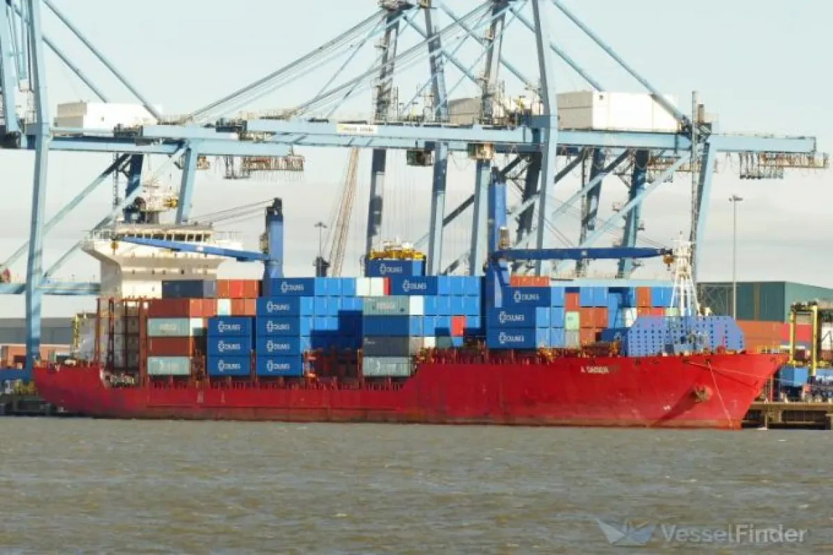 Alibaba’s Transfar Shipping cuts reliance on charters with vessel acquisitions