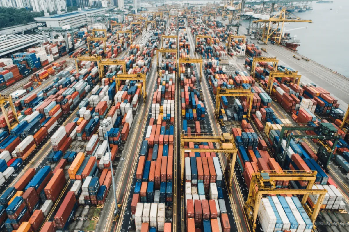 CN analysis: India container freight rates continue to slide amid weakening demand