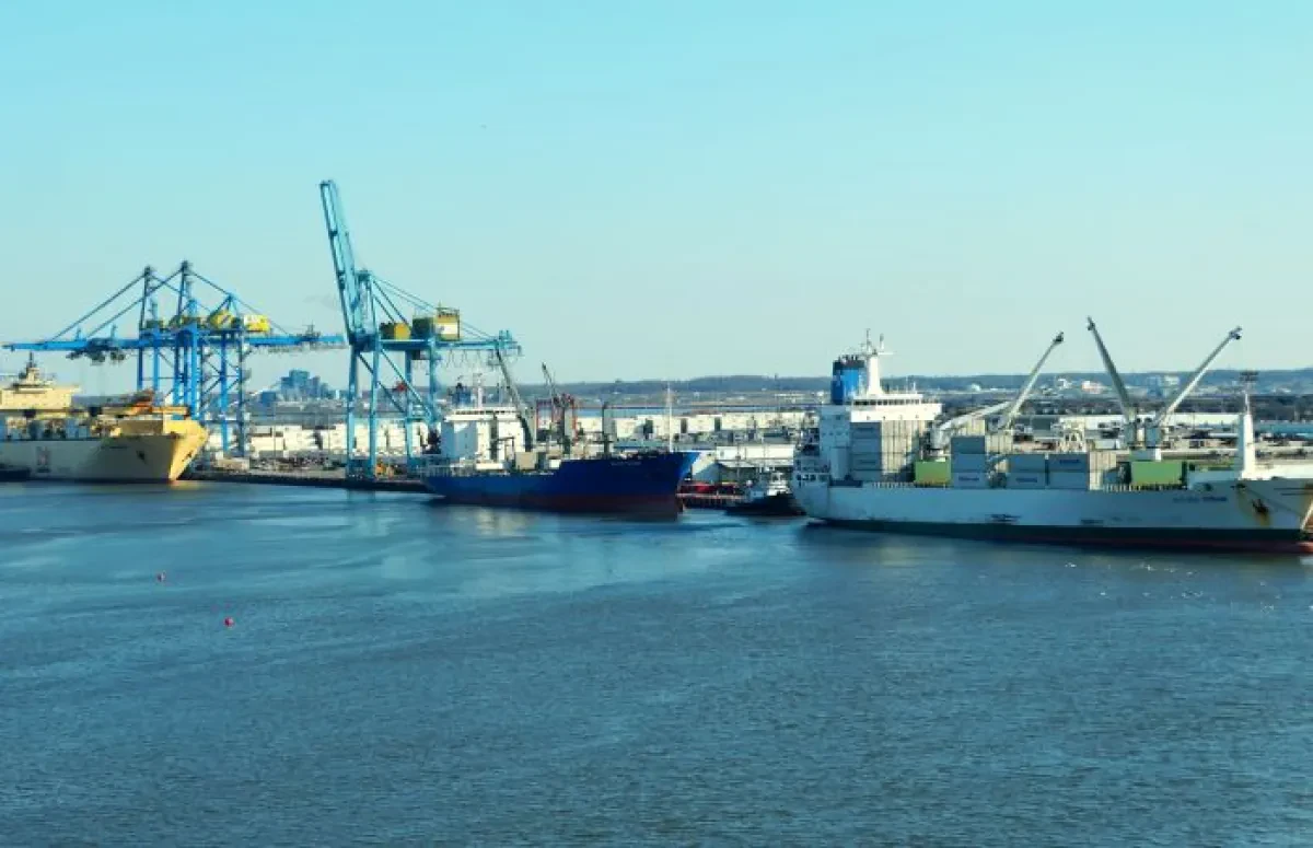 GT USA faces board shake-up amid planning for new Wilmington box terminal