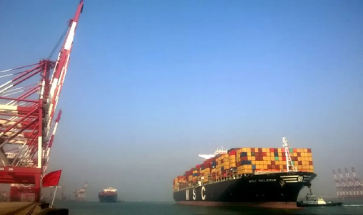 Blank sailings fail to prop up rates: 'we need capacity withdrawn permanently'