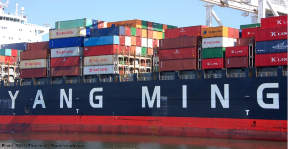 Yang Ming sinks deeper into red