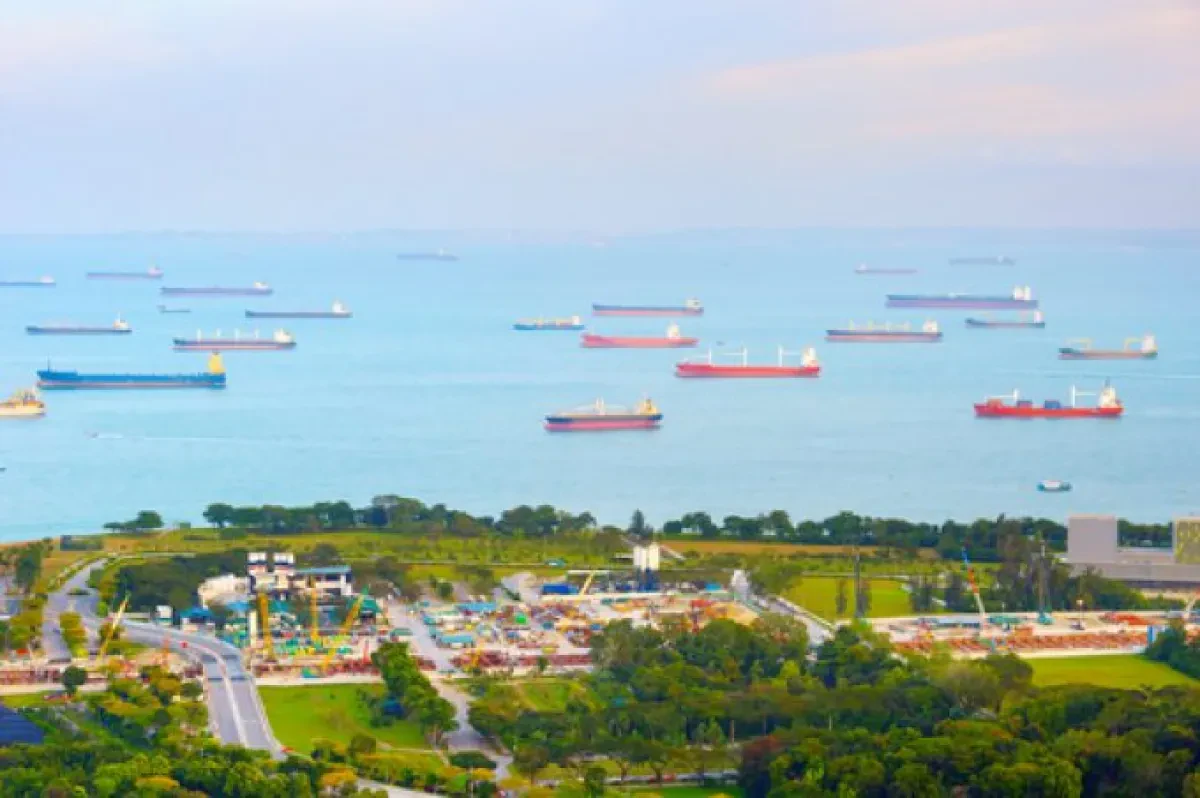 Idle containership fleet set to surge as liners rationalise networks
