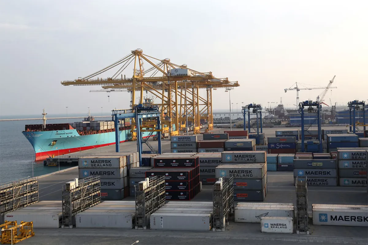 Adani reports 16 % increase in throughput