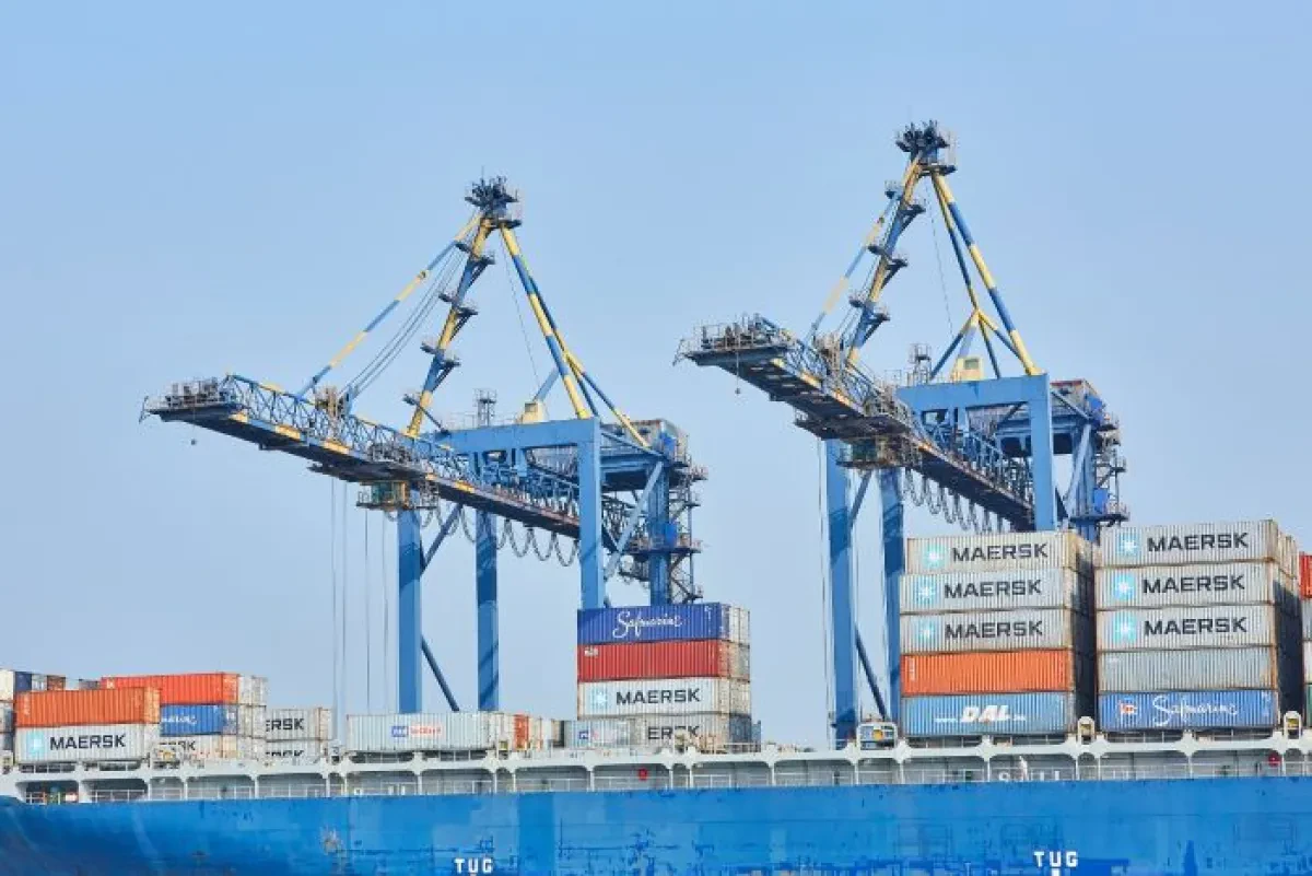 Indian freight rates soften to mid-2021 trendline as liners face cooling volumes