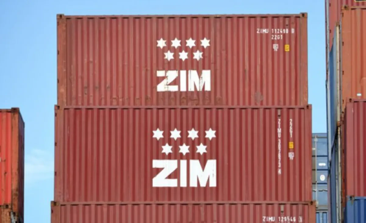Zim will focus on niche markets as it prepares for the ‘new normal’