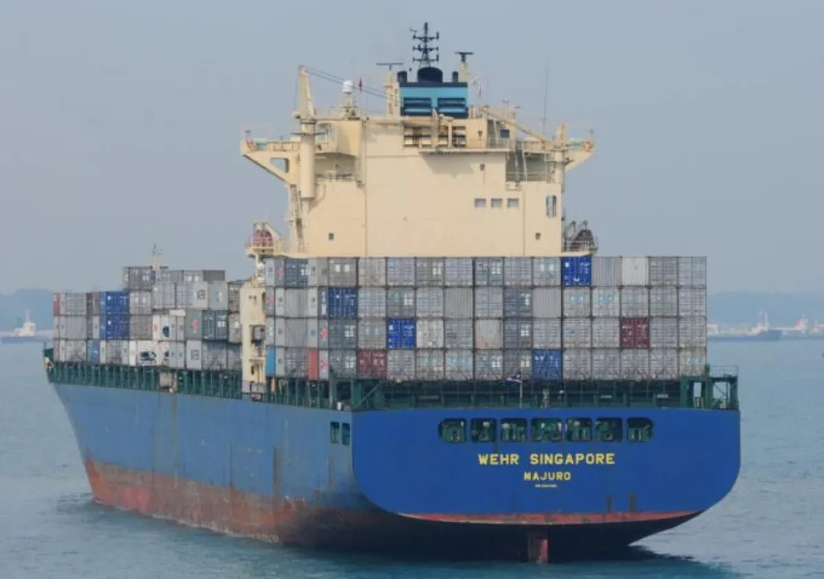 Zhonggu to target containerised dry bulk to fill fleet of new box ships