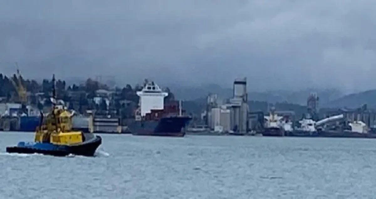 Zim crew 'feared for their safety' on Pacific voyage on 'unseaworthy' box ship