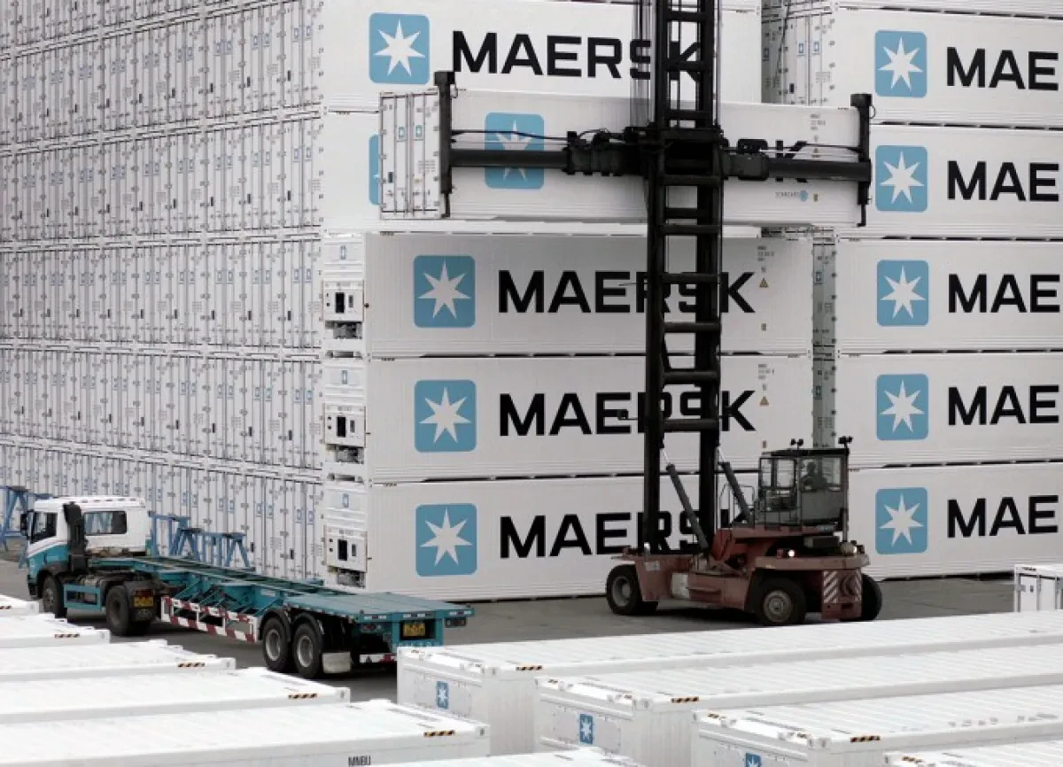 Why European container lines are winning the reefer market share battle