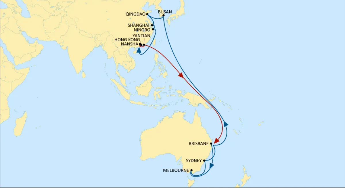 MSC Enhances Panda Service Through New VSA