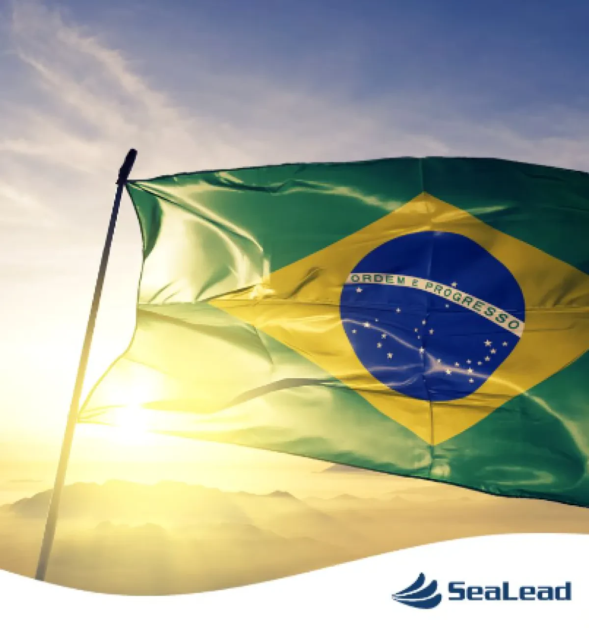 SeaLead Unveils New MEDSA Service, Connecting Mediterranean and Brazil Ports