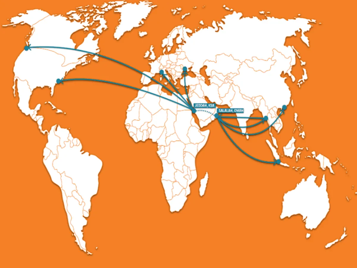 Port of Salalah introduces viable alternative to Red Sea route