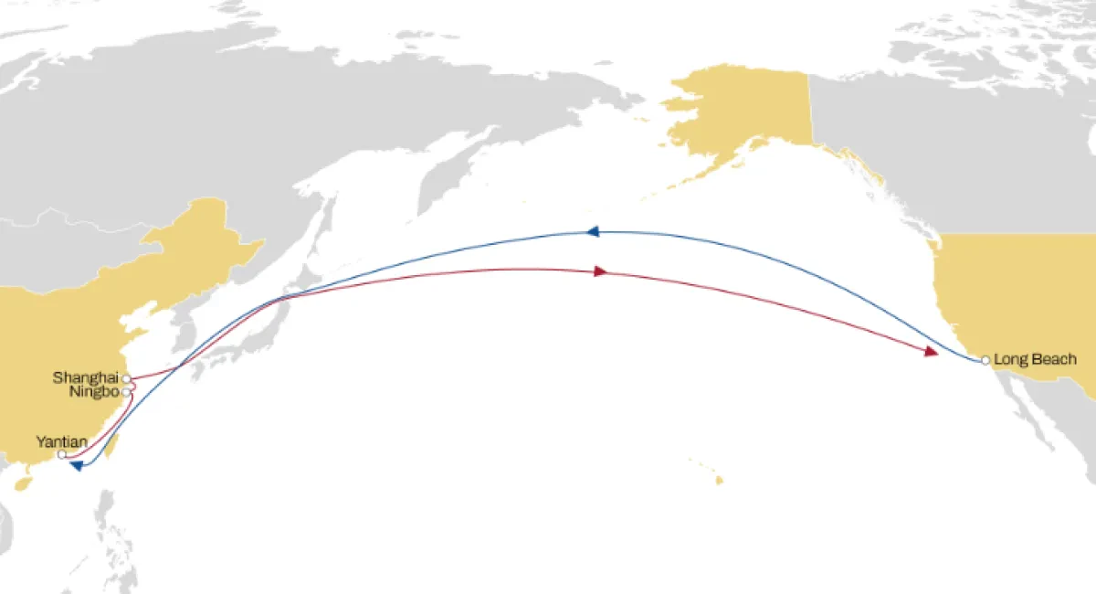 MSC Reinstates Mustang Service Between Asia to USWC
