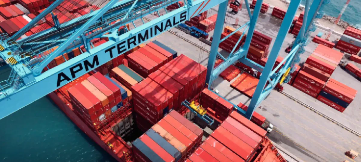 APMT eyes partnership in India's 'global top 10 port' project at Vadhavan