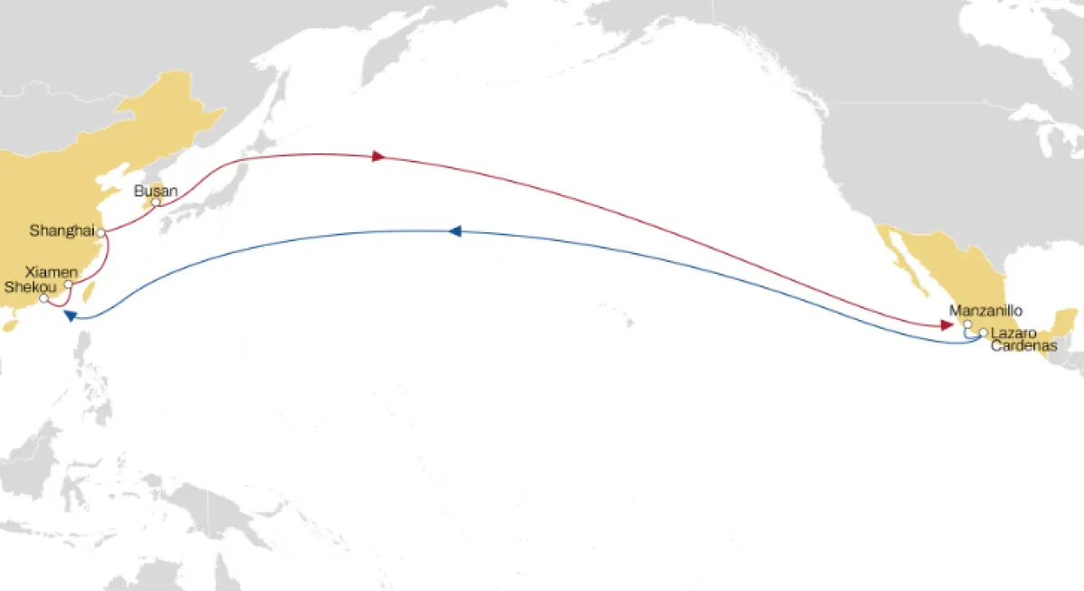 MSC Launches New Dahlia Service For Asia to Mexico Trade