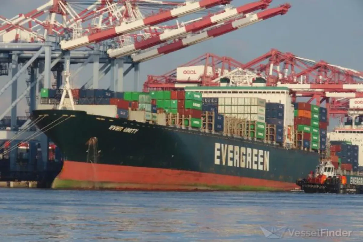 MSC continues to expand fleet with vintage vessels as profits top scrap value