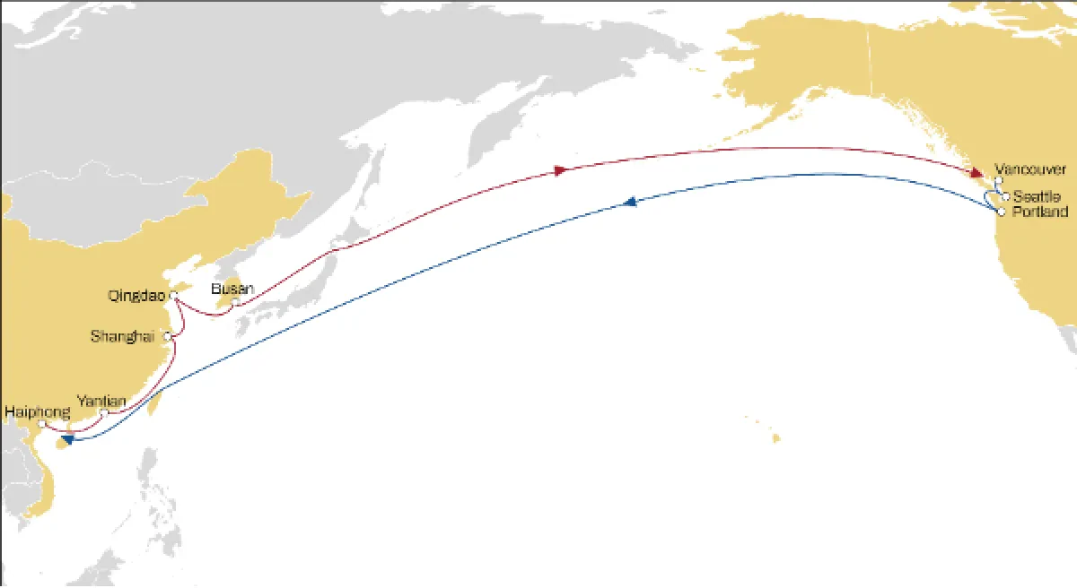 MSC Is Reinforcing Vietnam – North America Trade By Enhancing Its Chinook Service