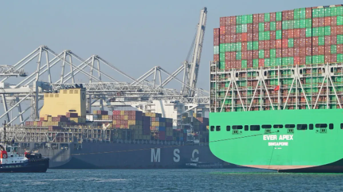 Container throughput is the strongest climber in the port of Rotterdam in the third quarter of 2024