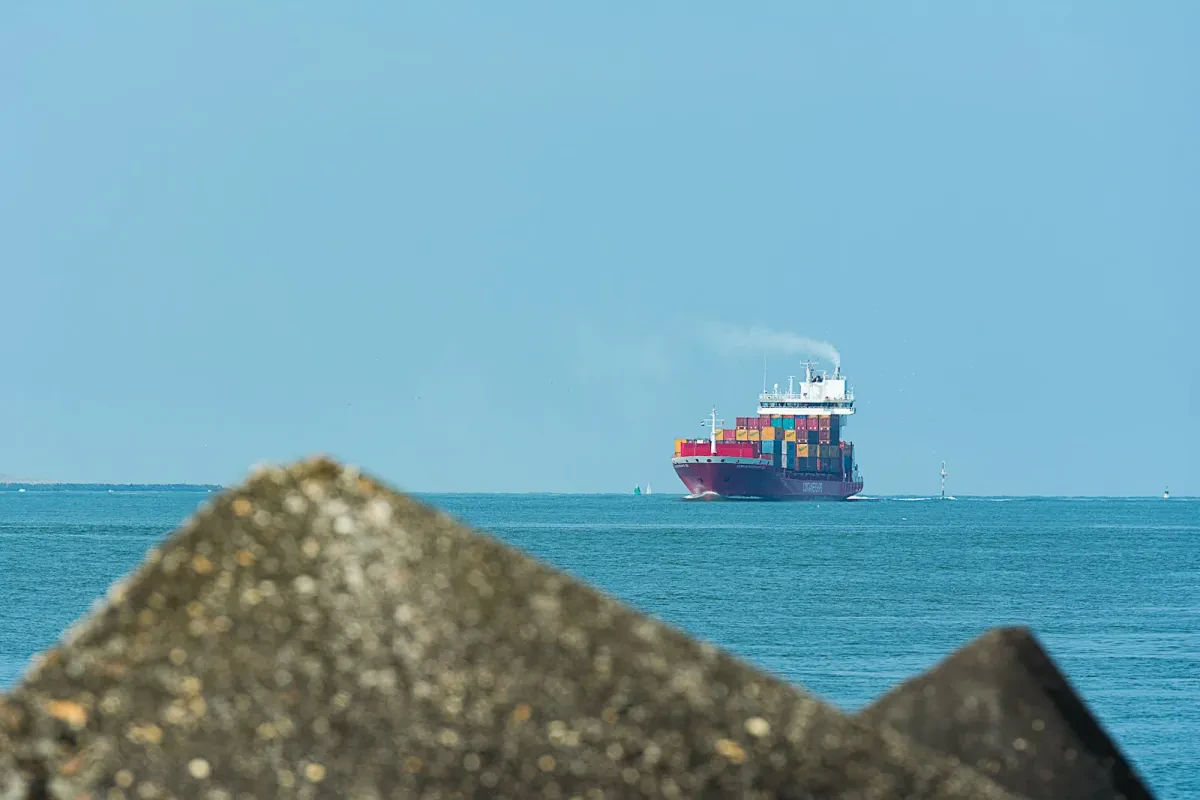 Shippers claim major box lines 'acted together' to profit from the pandemic