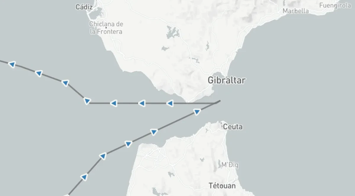 Gemini - what about omissions and inducements ?