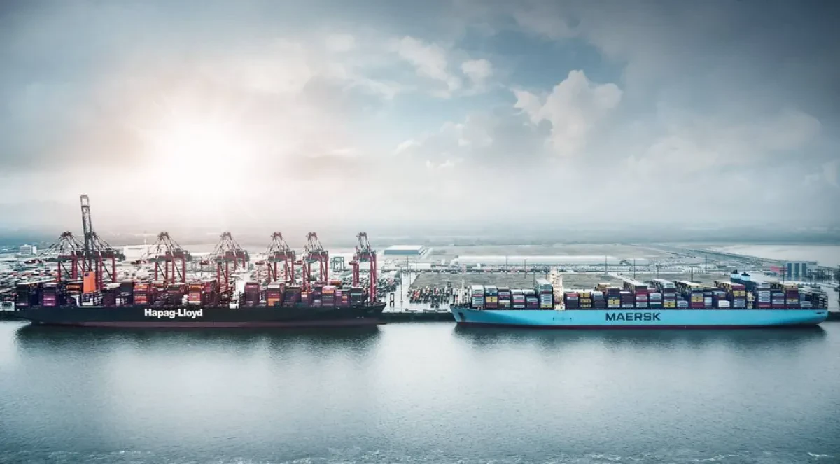 Gemini partners on the hunt for scarce chartered tonnage