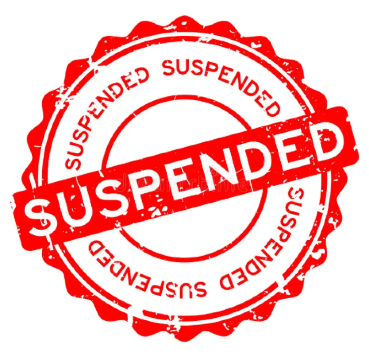 MSC’s Phoenix Asia-Europe Service Suspended Indefinitely Amid Operational Disarray