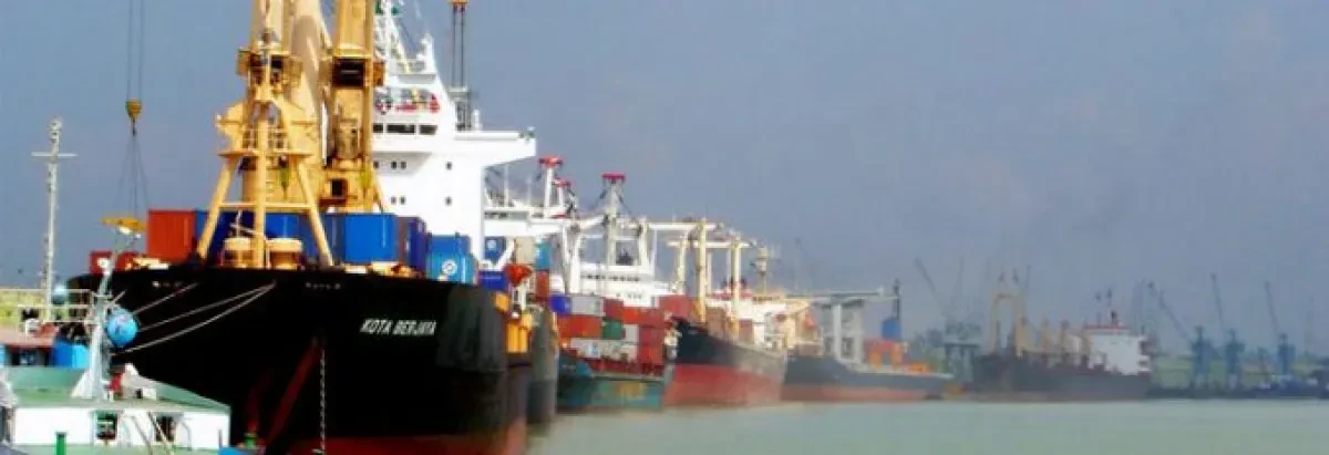 'Don't cut off your head to cure a headache': Chittagong shippers fight vessel