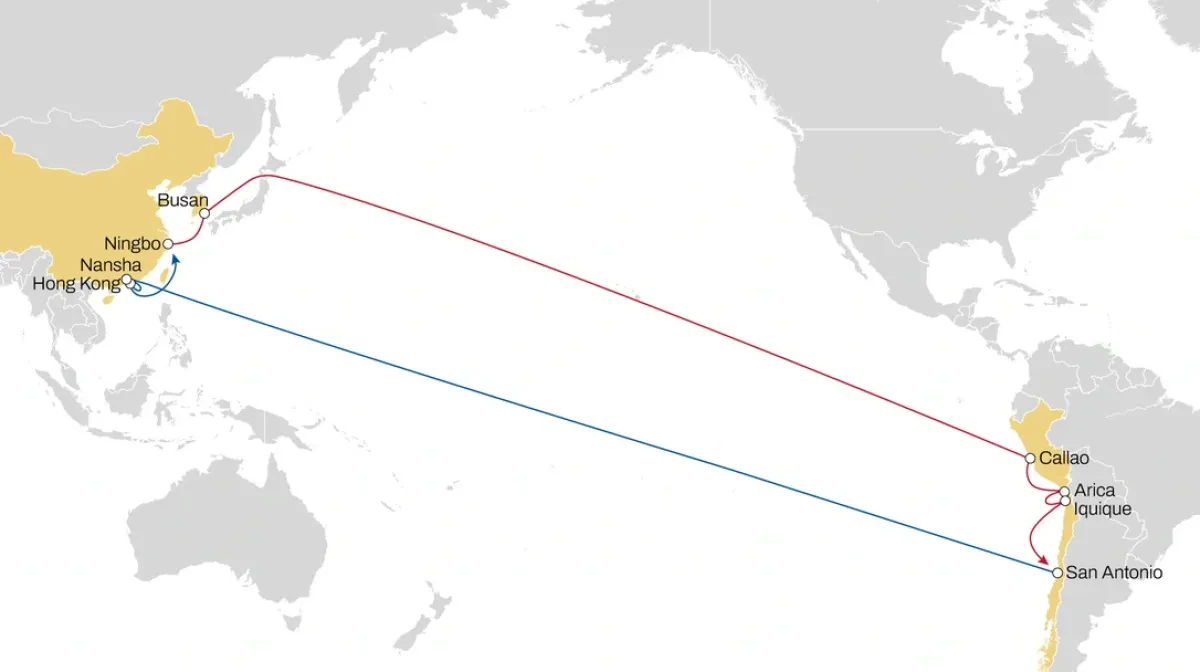 MSC Launches Fast New Alpaca Service for Trade Far East to South America West Coast