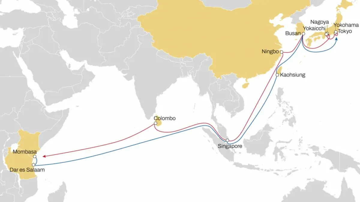 MSC Enhances Origami Service with Direct Asia-East Africa Link