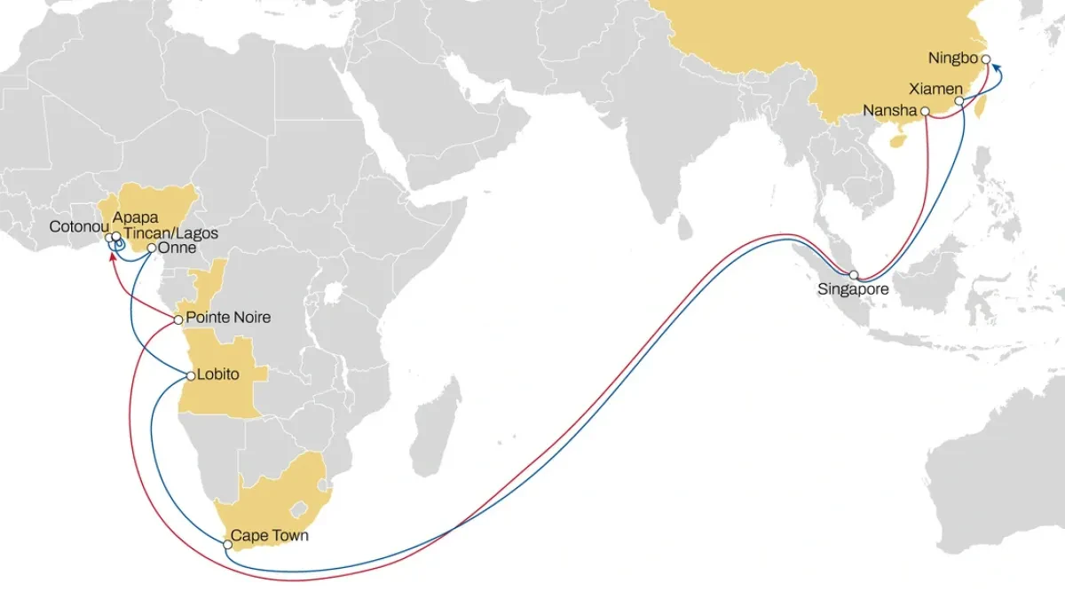 MSC Strengthens Iroko Service with New Cape Town Direct Call