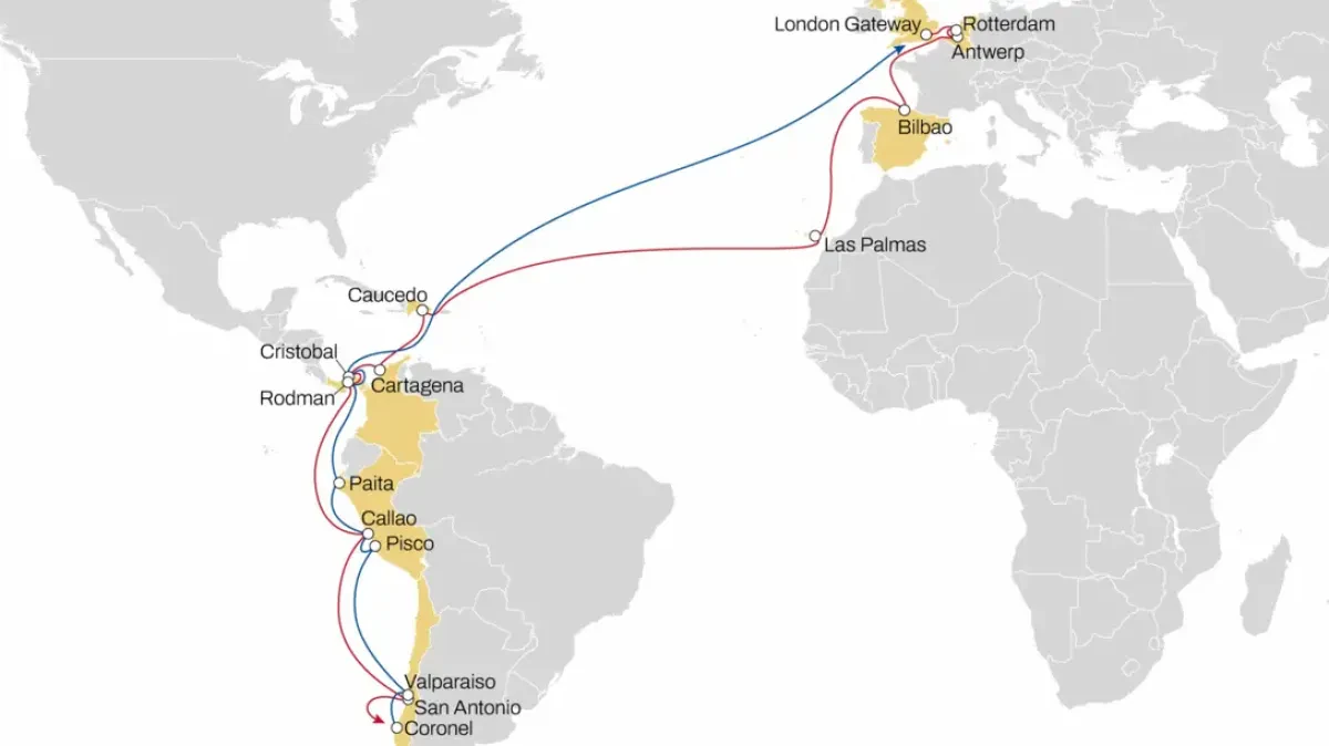 MSC Strengthens NWC-USA-SAWC Service with New Direct Bilbao Call