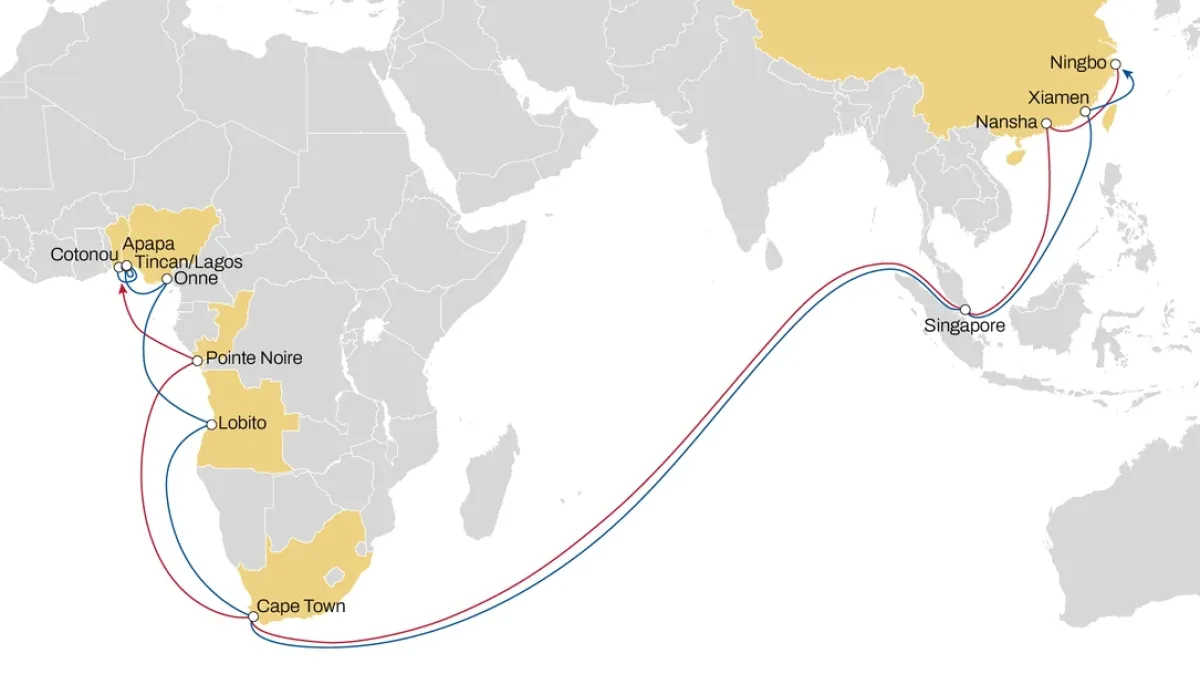 MSC Strengthens Iroko Service with New Direct Cape Town Call