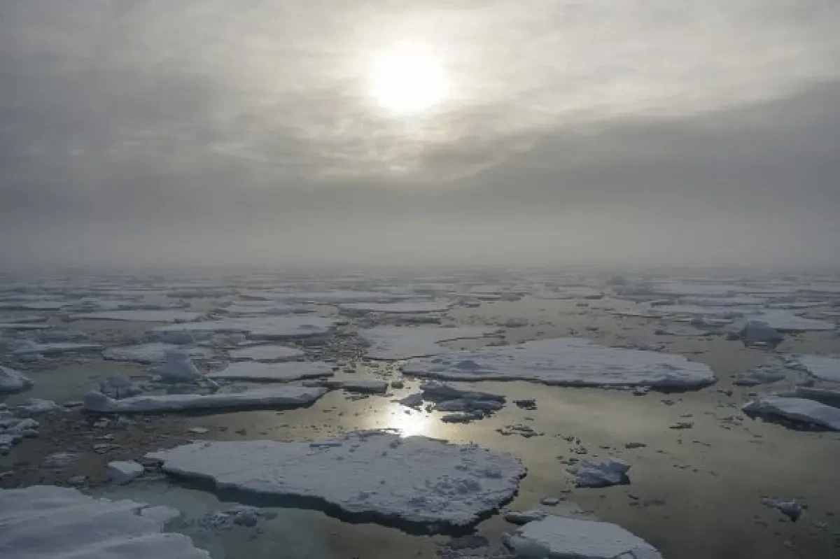 Is the Arctic Route the Future of Shipping?