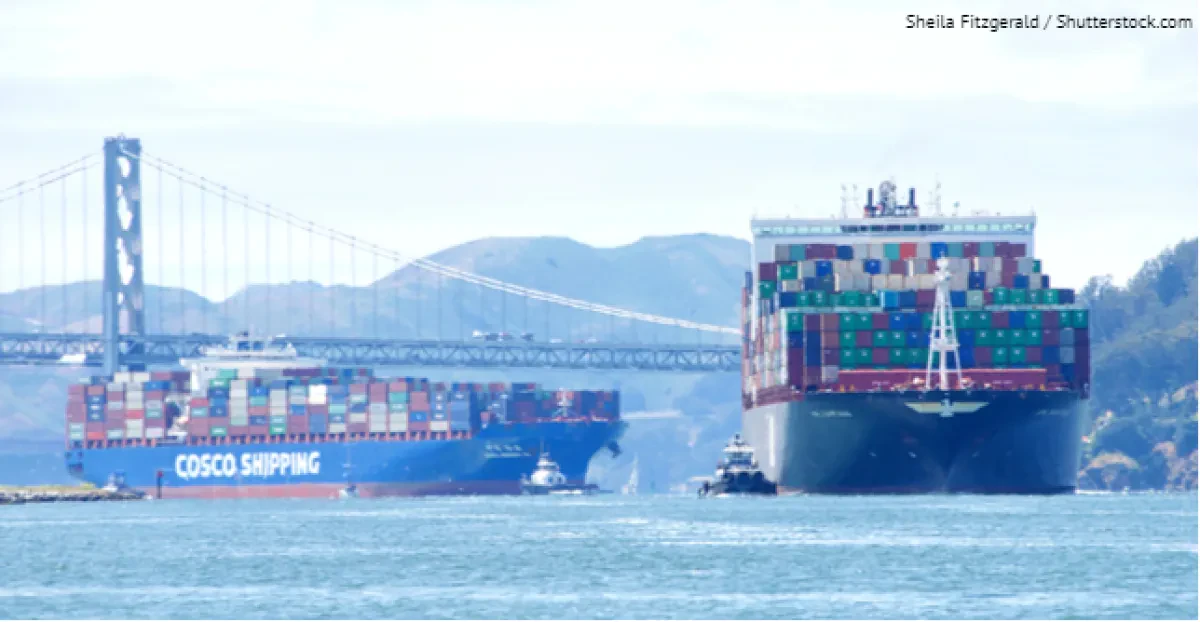 ‘Expect additional mergers and pray for no Hanjins’