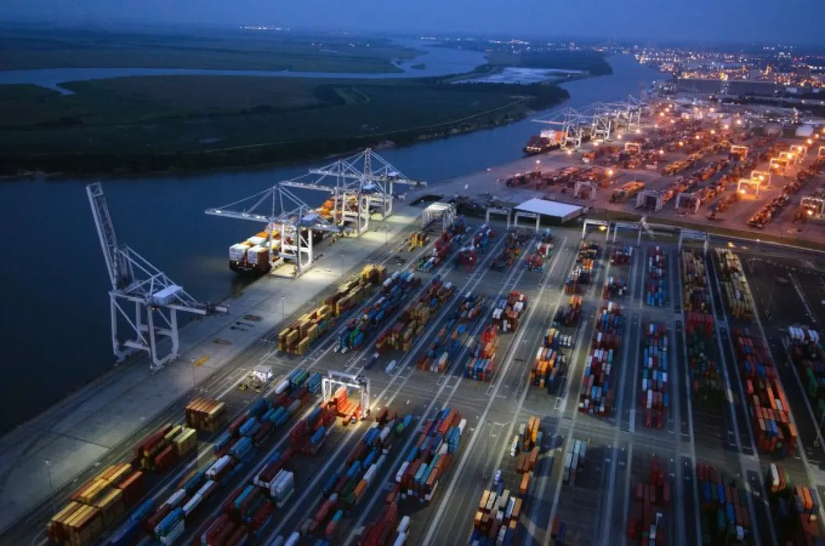 2M and Zim blank more Asia-USEC sailings – ‘slow volume pickup’ blamed