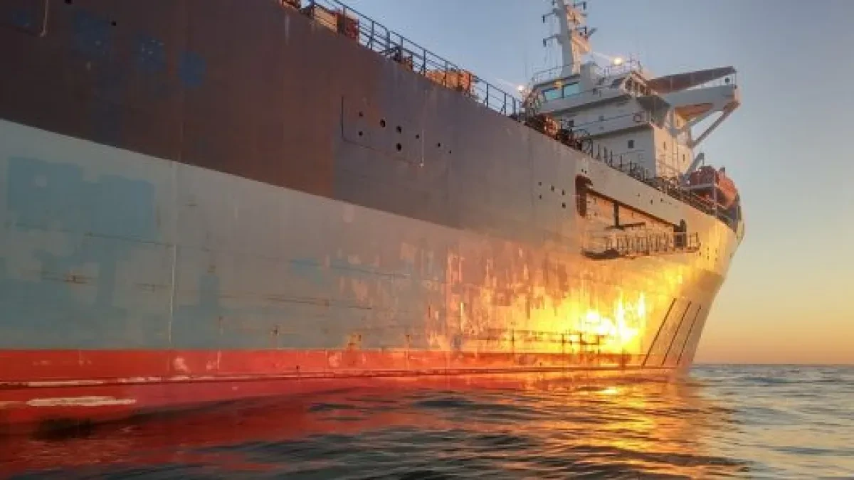 What Will Be the Role of Biofuels in Shipping’s Decarbonization?