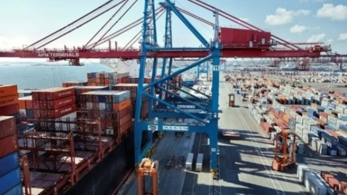 Specialized European Ports Strong; British Ports Look to Government