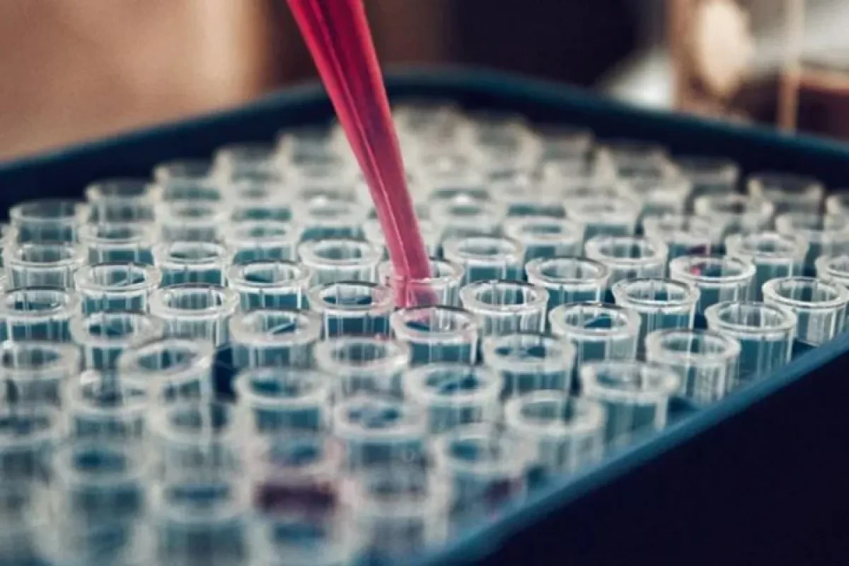 Maersk and PSA sign end-to-end logistics deal with Braskem