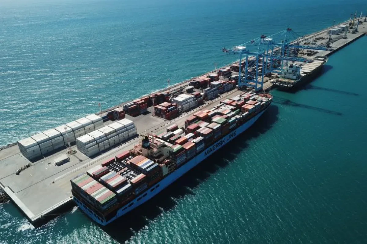 APM Terminals’ Brazil hub registers double-digit growth in 2020