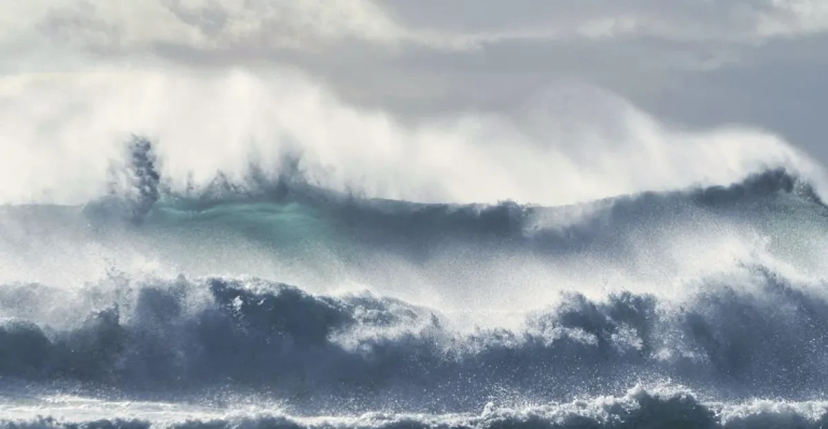 Pipavav Port operations suspended following cyclone Tauktae