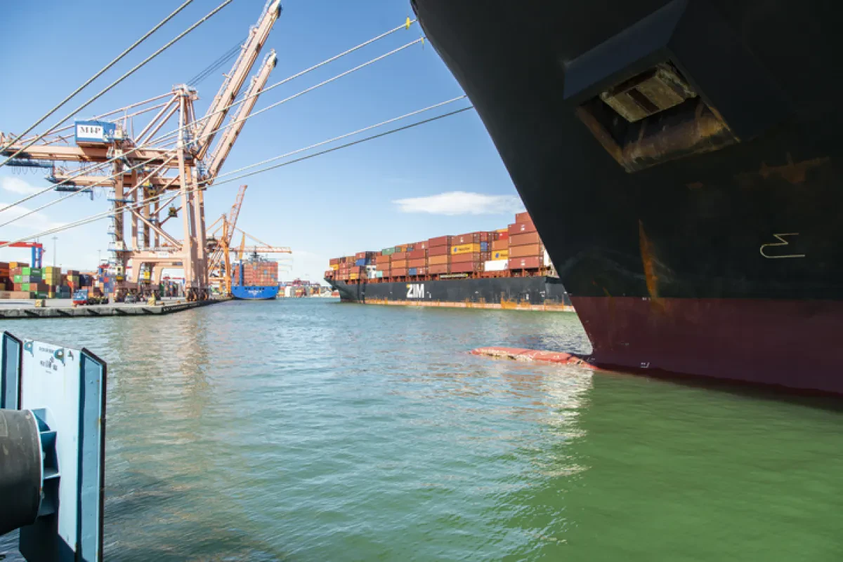 ZIM to launch digital freight forwarding platform Ship4wd