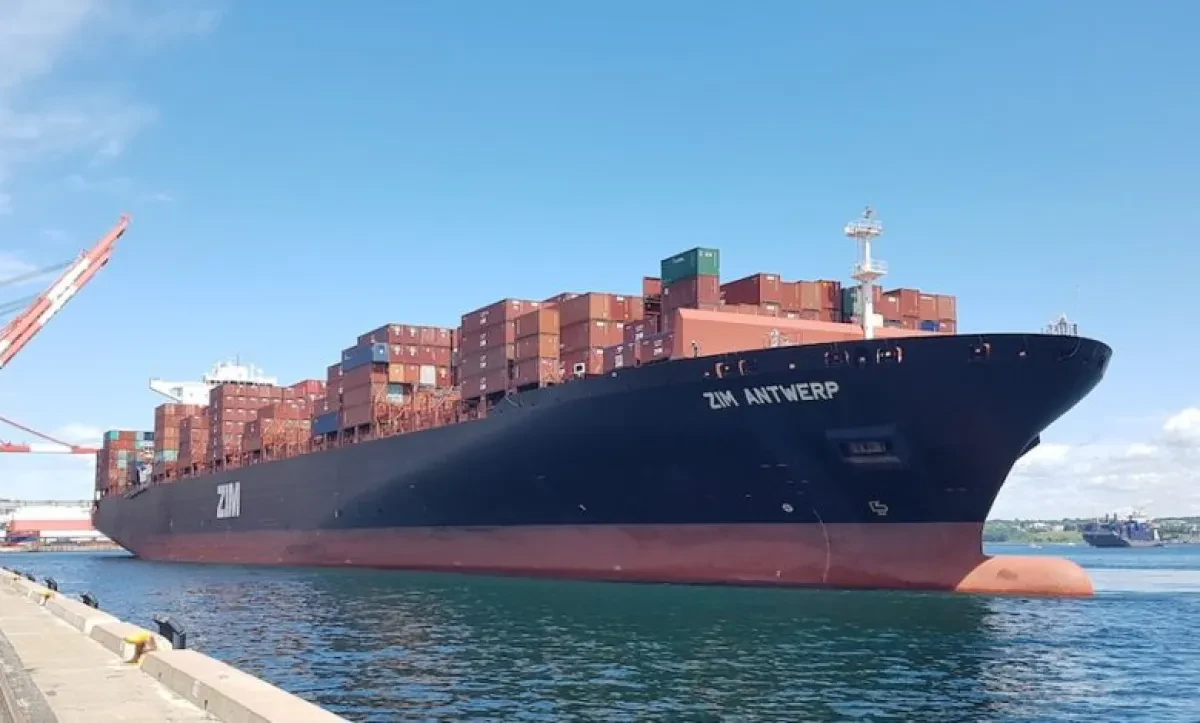 ZIM opts to buy rather than charter for latest expansion