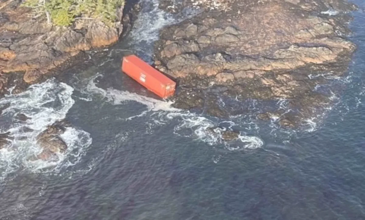 Zim Kingston lost more than 100 boxes overboard, significantly more than first reported
