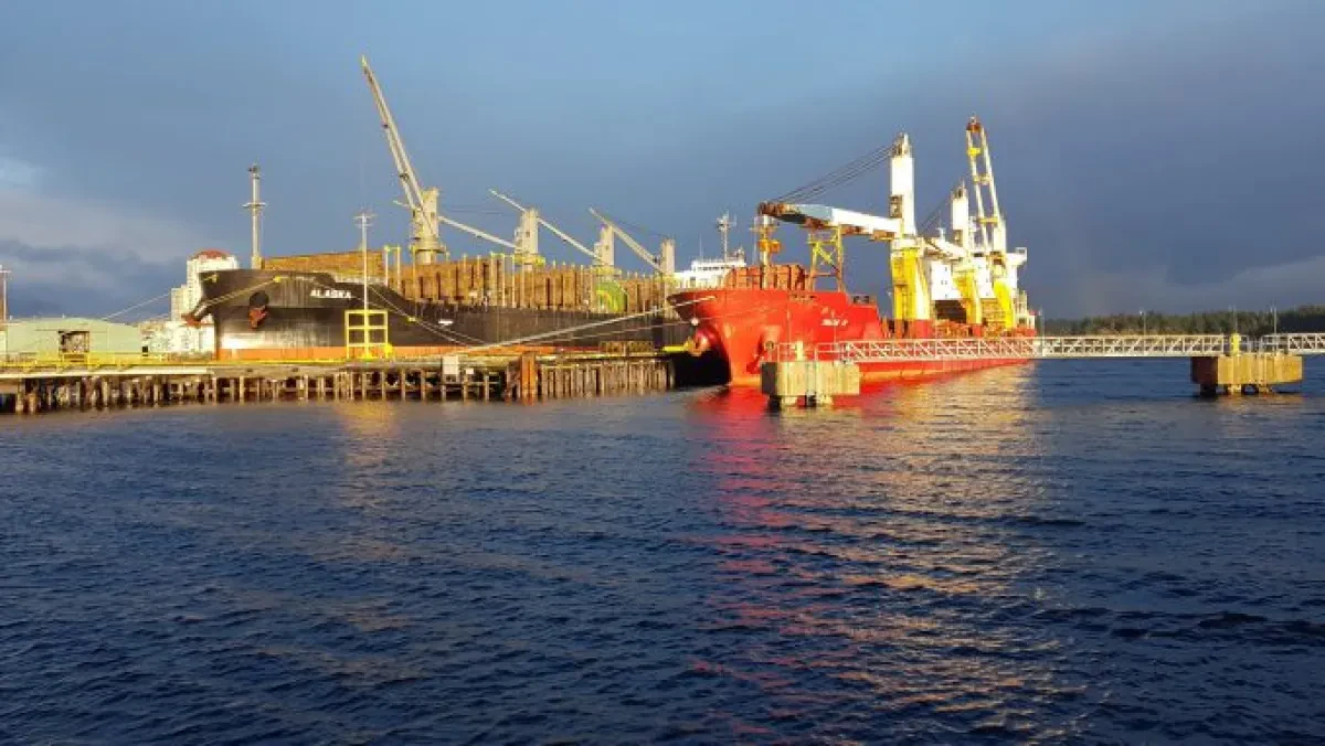 Zim Kingston salvage plans underway as Danaos reports ‘stellar’ results